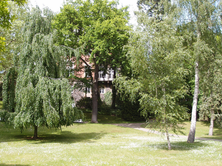 Blick in Park - Forschung - Naturheilkunde - Immanuel Krankenhaus Berlin Blick in Park - Forschung - Naturheilkunde - Immanuel Krankenhaus Berlin