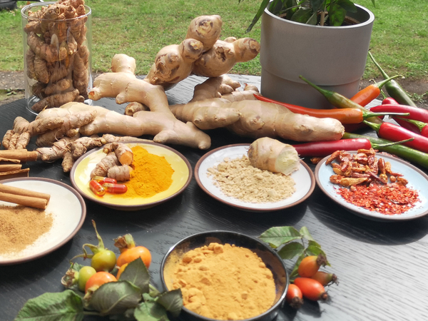 Ingwer, Kurkuma- Gesunde Gewürze - Naturheilkunde - Immanuel Krankenhaus Berlin Ingwer, Kurkuma- Gesunde Gewürze - Naturheilkunde - Immanuel Krankenhaus Berlin