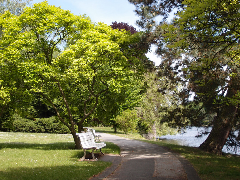 Park am See - Forschung - Naturheilkunde - Immanuel Krankenhaus Berlin Park am See - Forschung - Naturheilkunde - Immanuel Krankenhaus Berlin